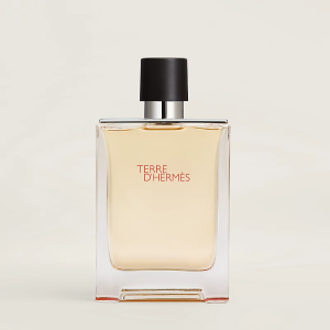 Hermès Terre d'Hermès EDT 100ml TESTER